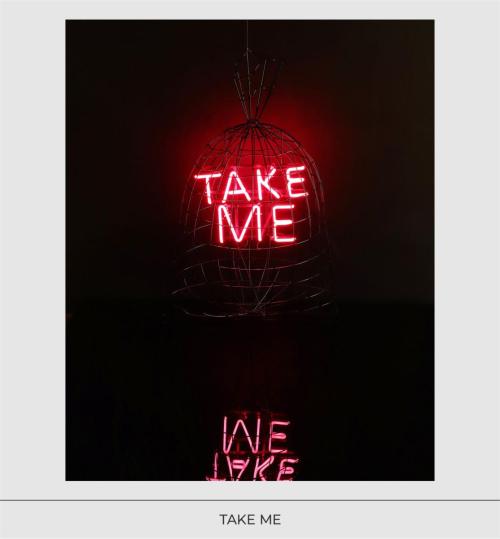 TAKE ME 2 - estructura metalica - neon