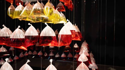 692850487a4e07926625d94d G123 CarlosVillabon SegundaPiel-7