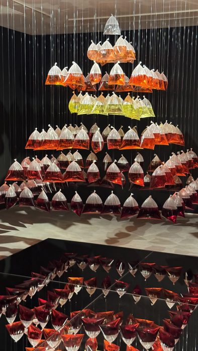 SEGUNDA PIEL GALERIA 123 EL SALVADOR